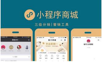 1582101841967255.jpg 小程序商城开发另辟蹊径.jpg