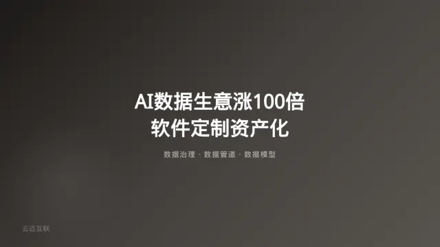 一年暴涨100倍的AI数据生意、特斯拉蒸发2000亿，软件定制开发的「数据资产化」红利正在爆发