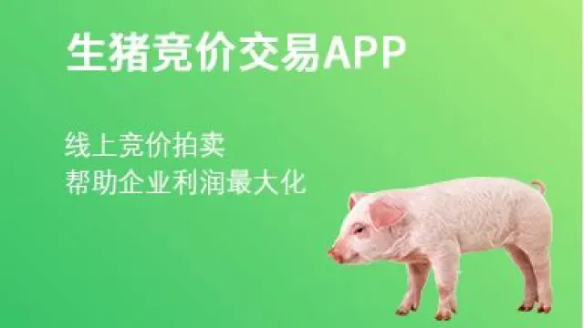 生猪竞价系统：农牧业领域的创新之举