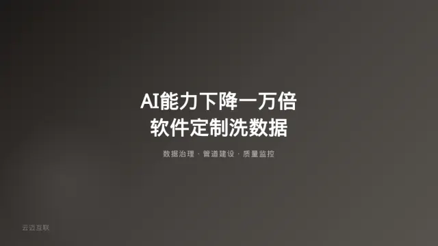 「全世界AI能力下降一万倍，只有我还是普通人」——软件定制开发在AI时代的「数据质量」价值越来越被低估